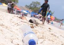 Los turistas extranjeros son la gente mÃ¡s educada y consciente del cuidado de la playa y el mar: si traen una botella de agua se llevar el embace y mÃ¡s si pueden  de la playa, pero los colombianos, los mÃ¡s sucios y los que mÃ¡s basura dejan.