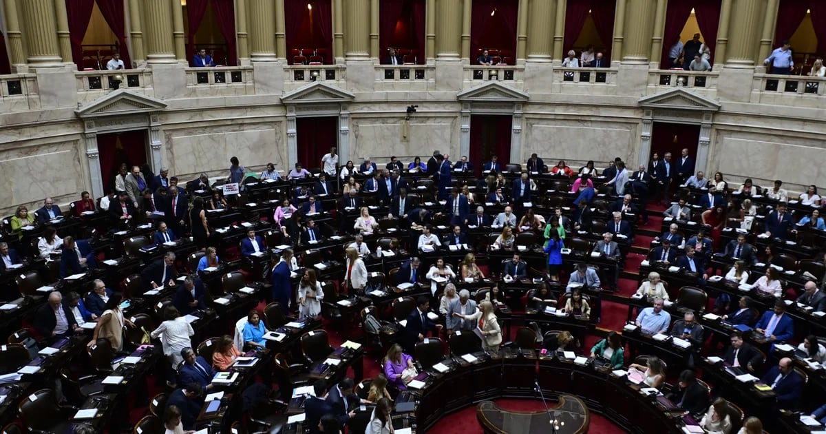 Cámara de Diputados, en vivo: la oposición logró quórum para forzar el debate sobre la movilidad jubilatoria