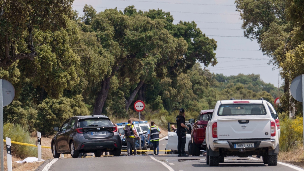 Un ajuste de cuentas, detrás del asesinato del hermano de Villacís