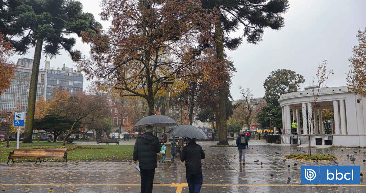 Municipios del Gran Concepción y la región del Bío Bío suspenden clases por sistema frontal