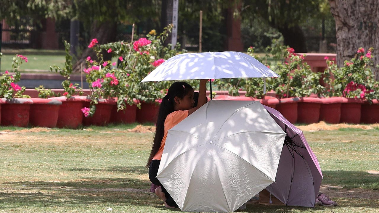 La Tierra encadena doce meses con récord de calor y la OMS lanza un seria advertencia