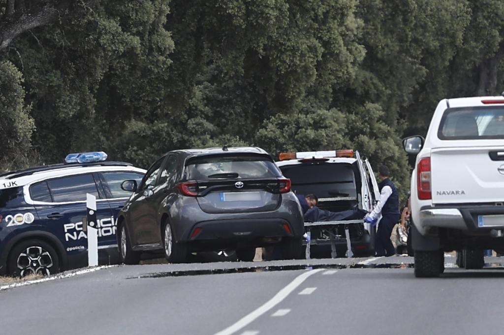 Detenidos los dos presuntos asesinos de Borja Villacís en Toledo: ¿qué se sabe de ellos?