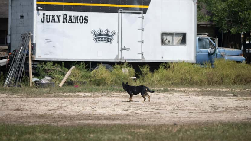 Hospitalizan a 11 migrantes y arrestan a 7 sospechosos de contrabando de personas en Texas