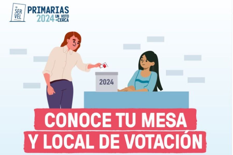 TV, radio, redes sociales y anuncios publicitarios: Servel detalla campaña informativa para las primarias tras críticas del oficialismo