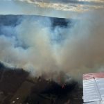 Alta velocidad de propagación: Alerta Amarilla por incendio forestal en la comuna de Cholchol